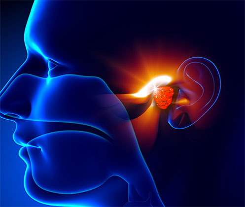 Hearing Aid Centre Chennai Reason For Hearing Loss Hearing Aid Centre Chennai Reason For Hearing Loss
