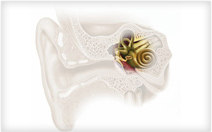 Hearing Aid Centre Chennai What is Hearing Loss  