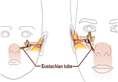 Hearing Aid Centre Chennai Ear And Its Functions 