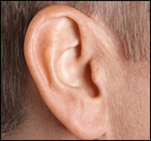 Hearing Aid Centre Chennai Types of Hearing aid  