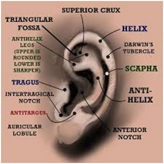 Hearing Aid Centre Chennai Outer Ear & Diseases Related To It 