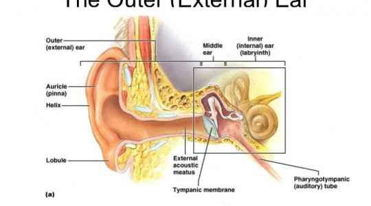 Hearing Aid Centre in Chennai | Hearing Clinic | Denoc Hearing