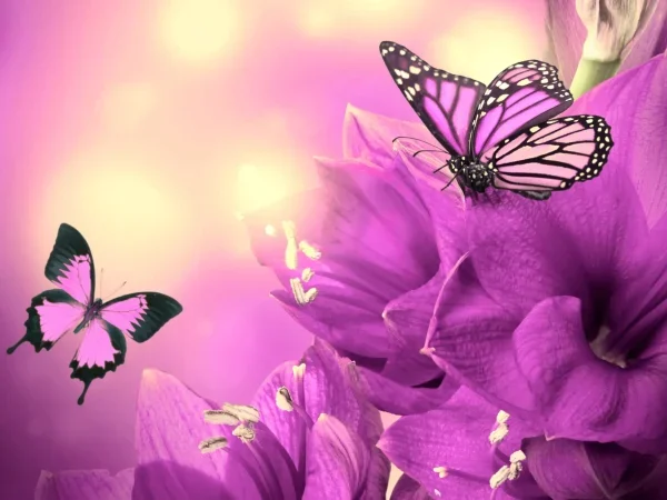 Hearing Care at Your Doorstep